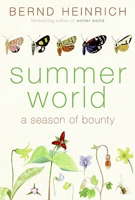 Summer World: A Season of Bounty (Hardcover)