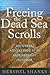 Freeing the Dead Sea Scrolls: And Other Adventures of an Archaeology Outsider