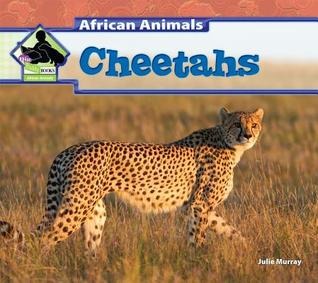Cheetahs (African Animals)