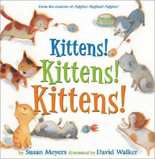 Kittens! Kittens! Kittens! (Hardcover)