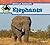 Elephants (African Animals)