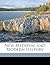 New Medieval and Modern His...