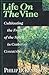 Life on the Vine: Cultivating the Fruit of the Spirit