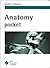 Anatomy Pocket