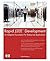 Rapid J2EE¿ Development: An Adaptive Foundation for Enterprise Applications