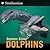 Dolphins: A Full-Color Photographic Introduction to Intelligent Mammals for Kids (Ages 6-10) (Smithsonian-science)