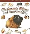 Guinea Pigs and Other Rodents (What Kind of Animal Is It?)