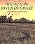 Welcome to the River of Grass