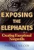 Exposing the Elephants: Creating Exceptional Nonprofits