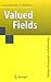 Valued Fields (Springer Monographs in Mathematics)