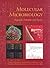 Molecular Microbiology: Diagnostic Principles and Practice