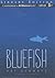 Bluefish
