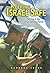 Keeping Israel Safe: Serving in the Israel Defense Forces