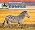 Zebras (African Animals)