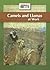 Camels And Llamas at Work (Animals at Work)