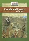Camels And Llamas...