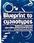 Blueprint to Cyanotypes: Ex...