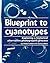 Blueprint to Cyanotypes: Exploring a Historical Alternative Photographic Process