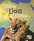 Watching Lions in Africa (Heinemann First Library)