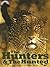 The Hunters & The Hunted