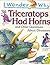 Triceratops Had Horns: and ...