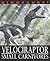 Velociraptor and Other Rapt...