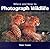 Where and How to Photograph Wildlife