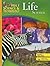 Holt Science & Technology: Life Science