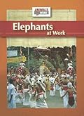 Elephants at Work