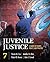Juvenile Justice by Steven M. Cox