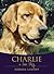Charlie by Barbara  Lampert