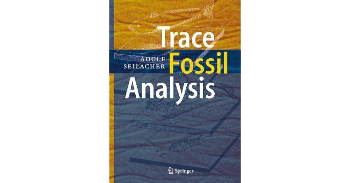 Trace Fossil Analysis by Adolf Seilacher
