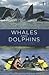 Whales and Dolphins by Philippa Brakes