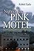 Nights in the Pink Motel: An American Strategist's Pursuit of Peace in Iraq