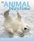 Animal Playtime