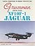Grumman Swing Wing XF10F-1 Jaguar (Naval Fighters, #26)