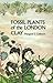 The Palaeontological Association Field Guide to Fossils, Fossil Plants of the London Clay (Palaentology FG Fossils)