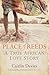 Place of Reeds