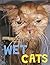 Wet Cats