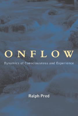 Onflow: Dynamics Of Consciousness And Experience (Hardcover)