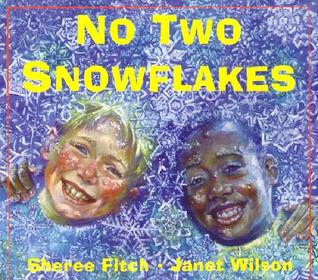 No Two Snowflakes (Paperback)