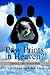 Paw Prints in Heaven?: Christians and Pet Loss