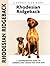Rhodesian Ridgeback by Ann Chamberlain