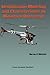Identification Modeling and Characteristics of Miniature Rotorcraft