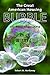 The Great American Housing Bubble: The Road to Collapse