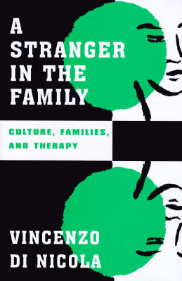 A Stranger in the Family: Culture, Families, and Therapy (Norton Professional Books (Hardcover))