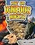 What Are Igneous Rocks? (Let's Rock!)