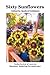 Sixty Sunflowers