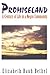 Promiseland: A Century of Life in a Negro Community