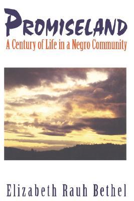 Promiseland: A Century of Life in a Negro Community (Paperback)